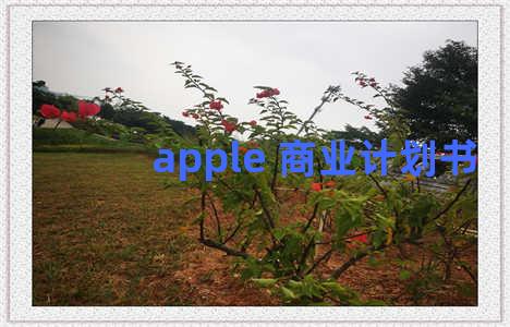 apple 商业计划书